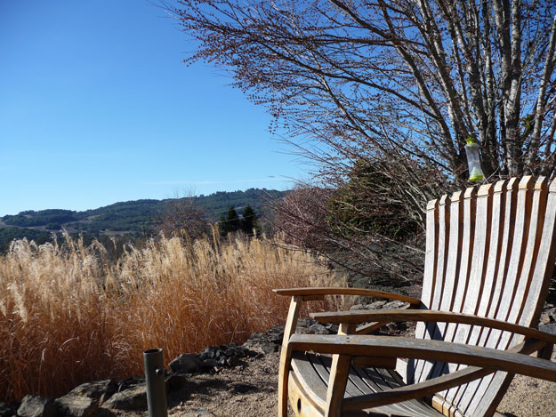 Adirondack-Chair-In-Wine-Country