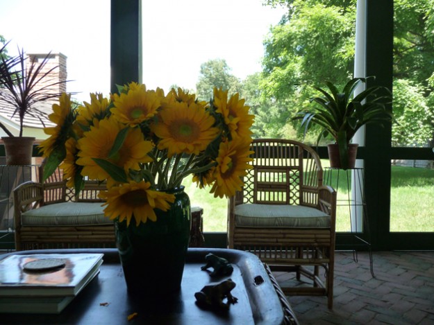 Sunflowers-In-The-Day