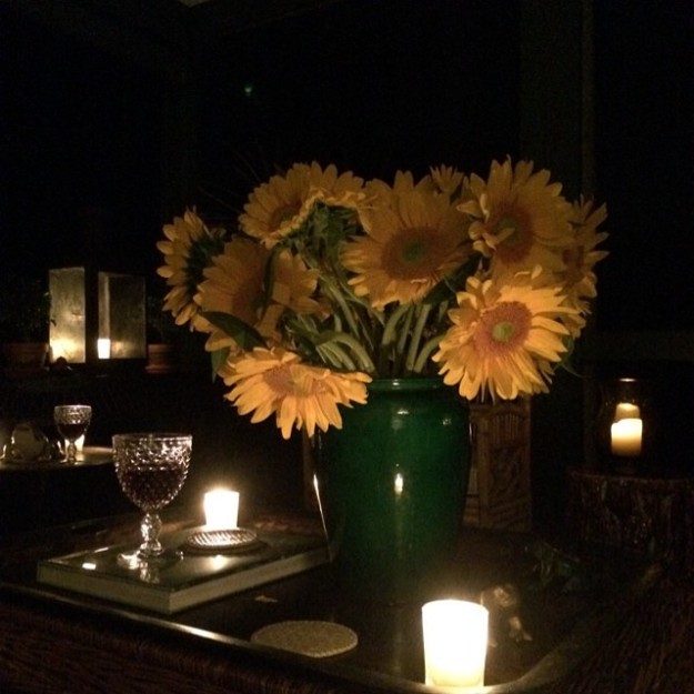 Sunflowers In The Night