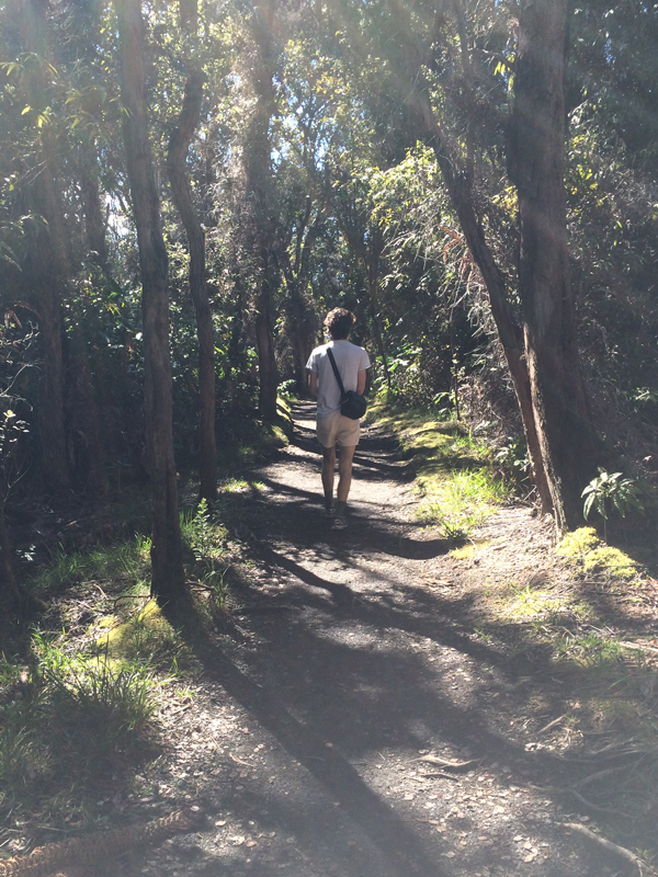 Hiking-through-filtered-light-at-Kilauea