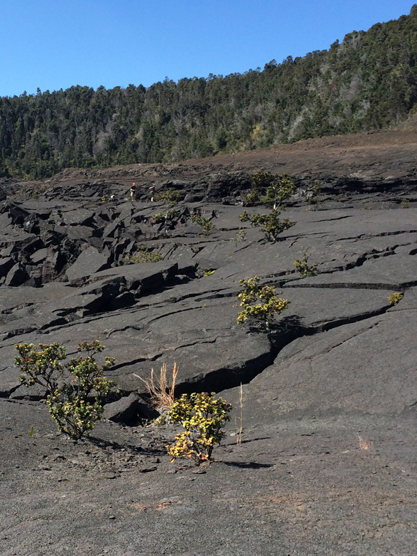 The-crater-at-Kilauea