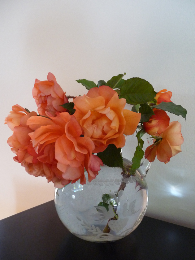 Apricot-Roses-Interior