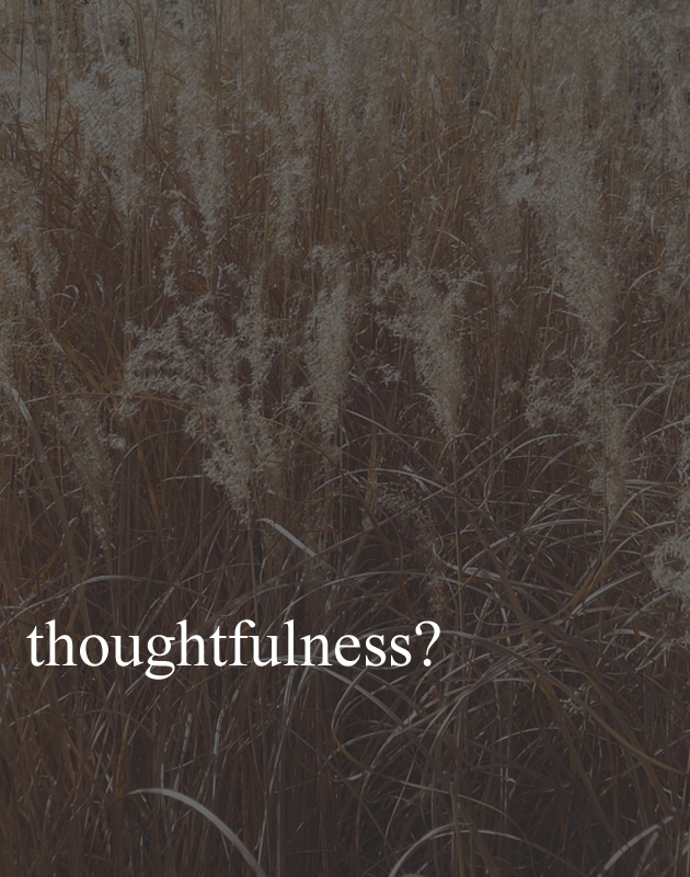Thoughtfulness-