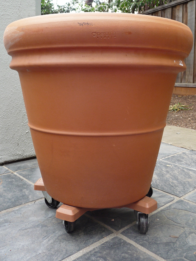 Garden-Variety-Clay-Pot