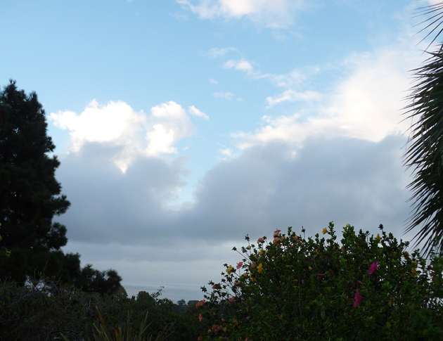 Morning-Sky-Over-Santa-Barbara-With-Vegetation