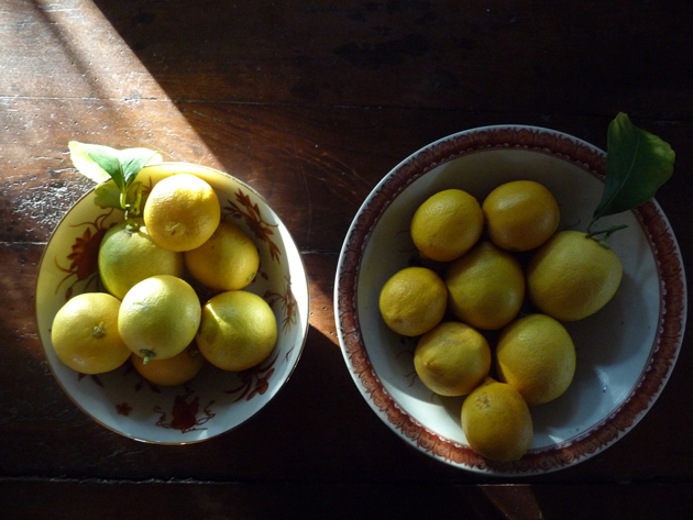 Lemons-in-Chinese-Bowls