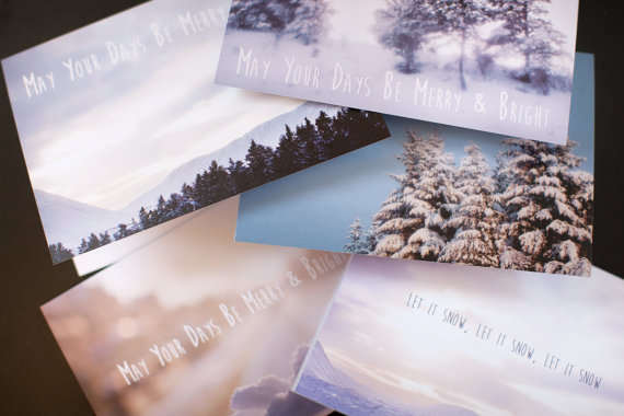Peonies and Polaroids Holiday Cards