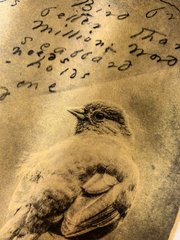 One Note From One Bird Brigitte Carnochan