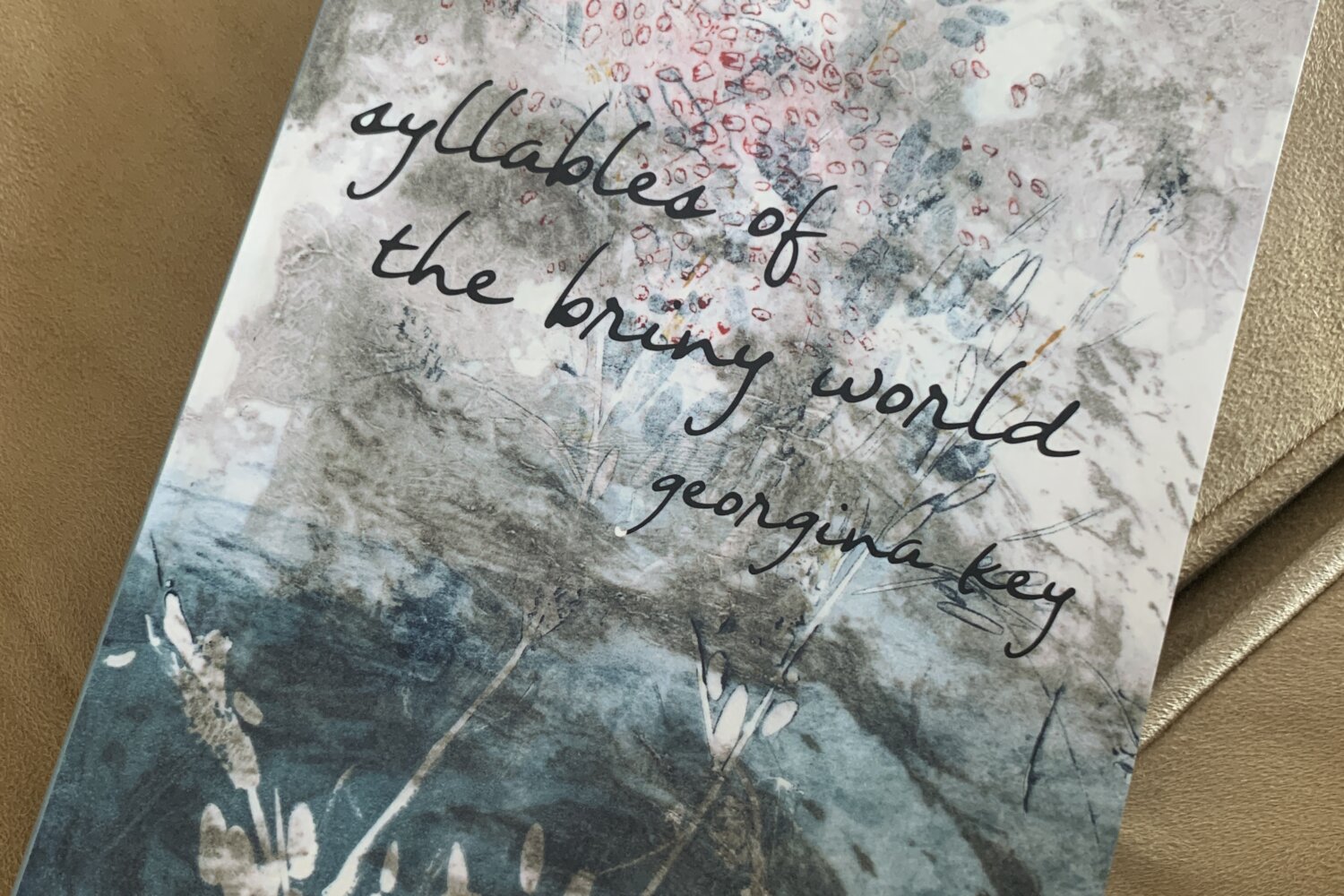 Syllables of the Briny World, a photo of a book