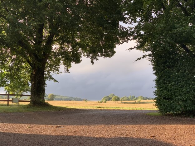 Light on a meadow between trees in southern Sweden.