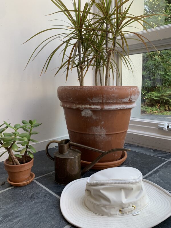 A Tilley hat in front of an iron plant, a Hawes watering can, and a jade plant