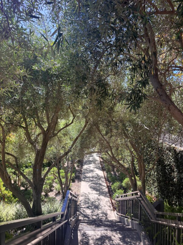 Walk to the pool at the Rosewood Sand Hill